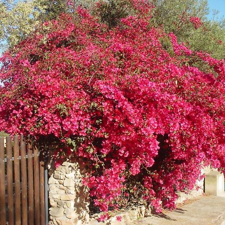 Casa A 300Mt.Dal Mare Calasinzias, 6 Letti, Ac, Pets Welcome, Wi-Fi Free Cala Sinzias ภายนอก รูปภาพ